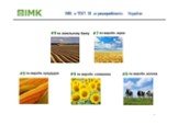 ІМК в ТОП 10 агровиробників України