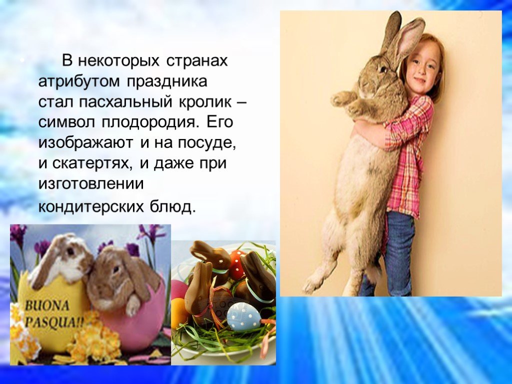 Почему кролик символ пасхи. Пасхальный кролик для презентации. Традиция с пасхальным кроликом. Символы Пасхи в разных странах.