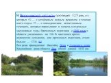 В Воронежской области протекает 125 рек, из которых 53 — с устойчивым водным режимом в течение всего года и 72 — с эпизодическим непостоянным течением, которые пересыхают в межень в отдельные засушливые годы. Временных водотоков с 1950 года в области увеличилось на 138. В настоящее время количество 