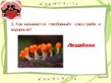 3. Как называется «любовный» союз гриба и водоросли? Лишайник
