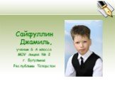 Сайфуллин Джамиль, ученик 6 А класса МОУ лицея № 2 г. Бугульмы Республики Татарстан