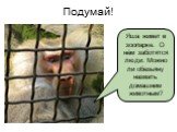 Яша живет в зоопарке. О нём заботятся люди. Можно ли обезьяну назвать домашним животным?