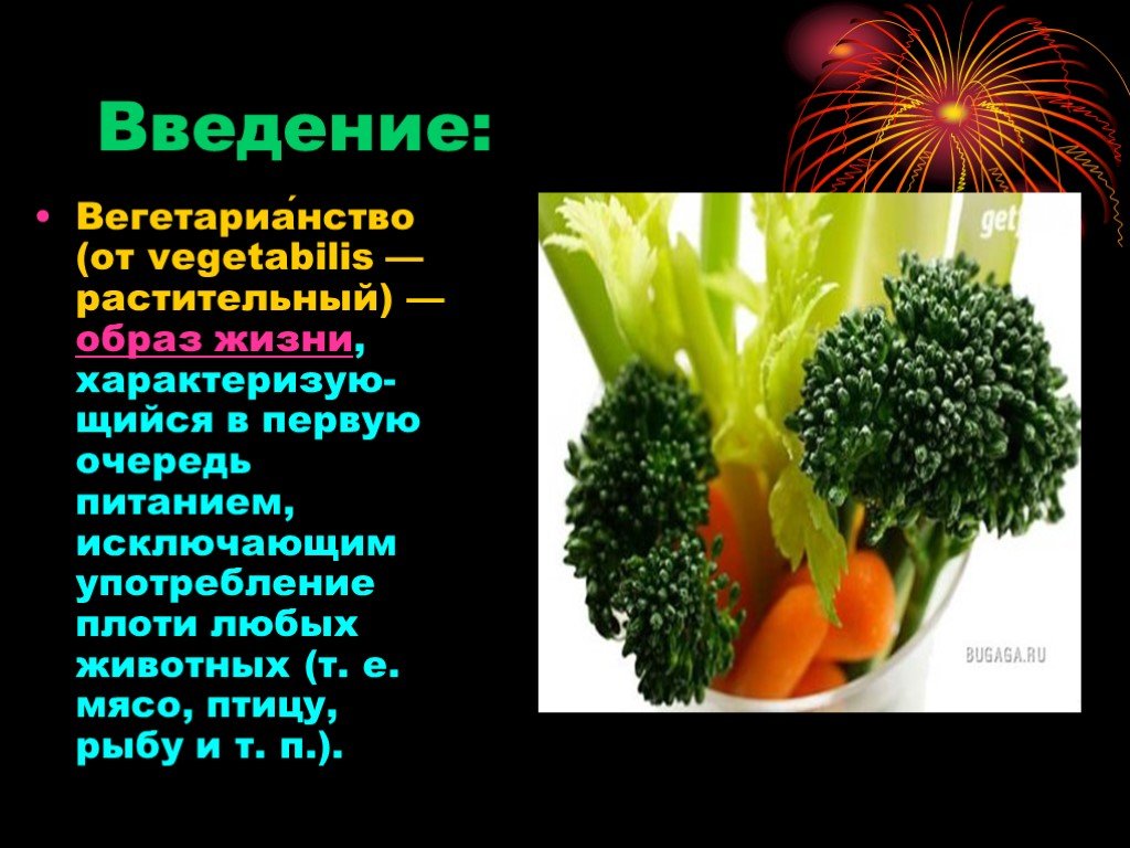 Вегетарианство за и против проект по биологии 10 класс