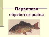 Первичная обработка рыбы