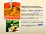 Куркума была представлена воинам Александра Македонского среди богатых даров Индии. Оранжево-желтый горький порошок изготавливают из корней-клубней растения из семейства имбирных. супы, мясные, рыбные, овощные блюда. Она не только придает пряный запах, но и окрашивает блюдо в приятный желтоватый цве