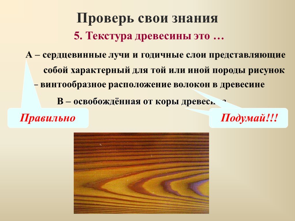 Какая функция у волокон древесины. Сердцевинные лучи древесины функции. Сердцевинные лучи древесины дуба. Сердцевидные лучи древесины это. Расположение волокон в древесине.