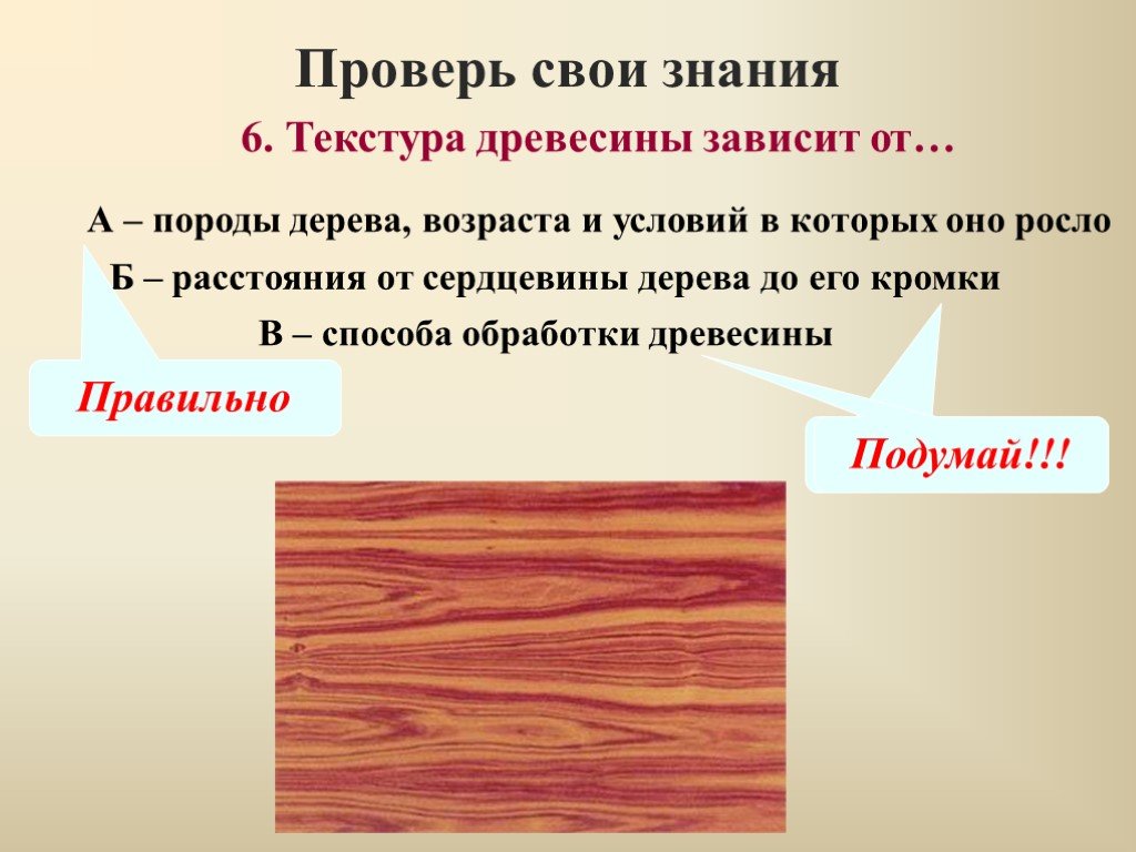 Виды и свойства древесины. Текстура древесины зависит от. Древесина презентация. Свойства древесины. Древесина и ее свойства.