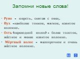 Запомни новые слова! Руно - шерсть, снятая с овец. Пух -наиболее тонкое, мягкое, извитое волокно. Ость (переходной волос) - более толстое, жёсткое и менее извитое волокно. Мёртвый волос - малопрочное и очень жёсткое волокно.