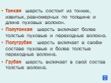 Тонкая шерсть состоит из тонких, извитых, равномерных по толщине и длине пуховых волокон. Полутонкая шерсть включает более толстые пуховые и переходные волокна. Полугрубая шерсть включает в своём составе пуховые и более толстые переходные волокна. Грубая шерсть включает в свой состав толстые волокна