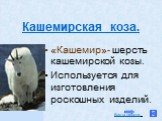 Кашемирская коза. «Кашемир»- шерсть кашемирской козы. Используется для изготовления роскошных изделий.