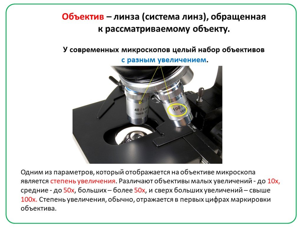 Какое увеличение у цифрового микроскопа. Увеличение на микроскопе 160. Расшифровка маркировки объектива для микроскопа. Увеличение микроскопа. Увеличение объектива микроскопа.