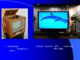Телерадиола Самый лучший LCD - телевизор "Беларусь-5". 2005-2006г. 1959 г.