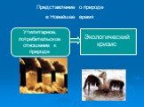 Представление о природе в Новейшее время. Утилитарное, потребительское отношение к природе. Экологический кризис