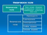 Физическое поле. Форма материи, обладающая континуальностью (слитностью, непрерывностью) и отсутствием массы покоя