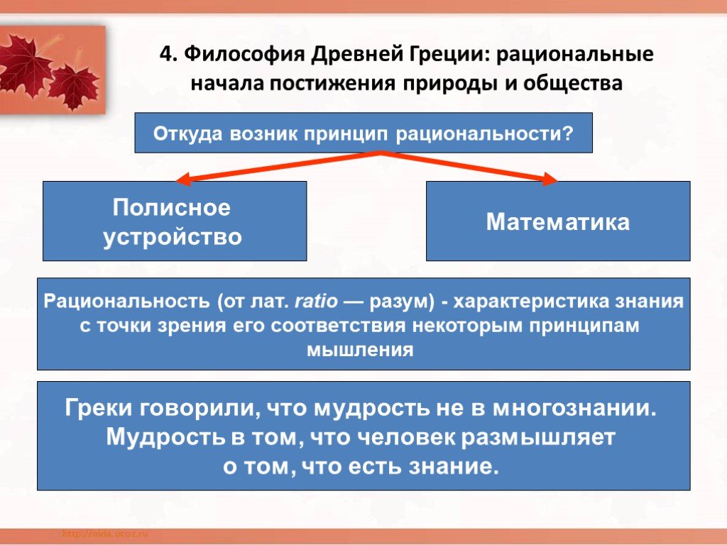 Общество с точки зрения философской науки проект