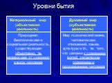 Материальный мир (объективная реальность). Природная, биологическая и социальная реальность, существующая объективно, т.е. независимо от сознания и воли человека. Духовный мир (субъективная реальность). Мир психической жизни, человеческих отношений, языка, культуры и т.п., т.е. того, что связано с с