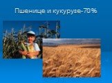 Пшенице и кукурузе-70%