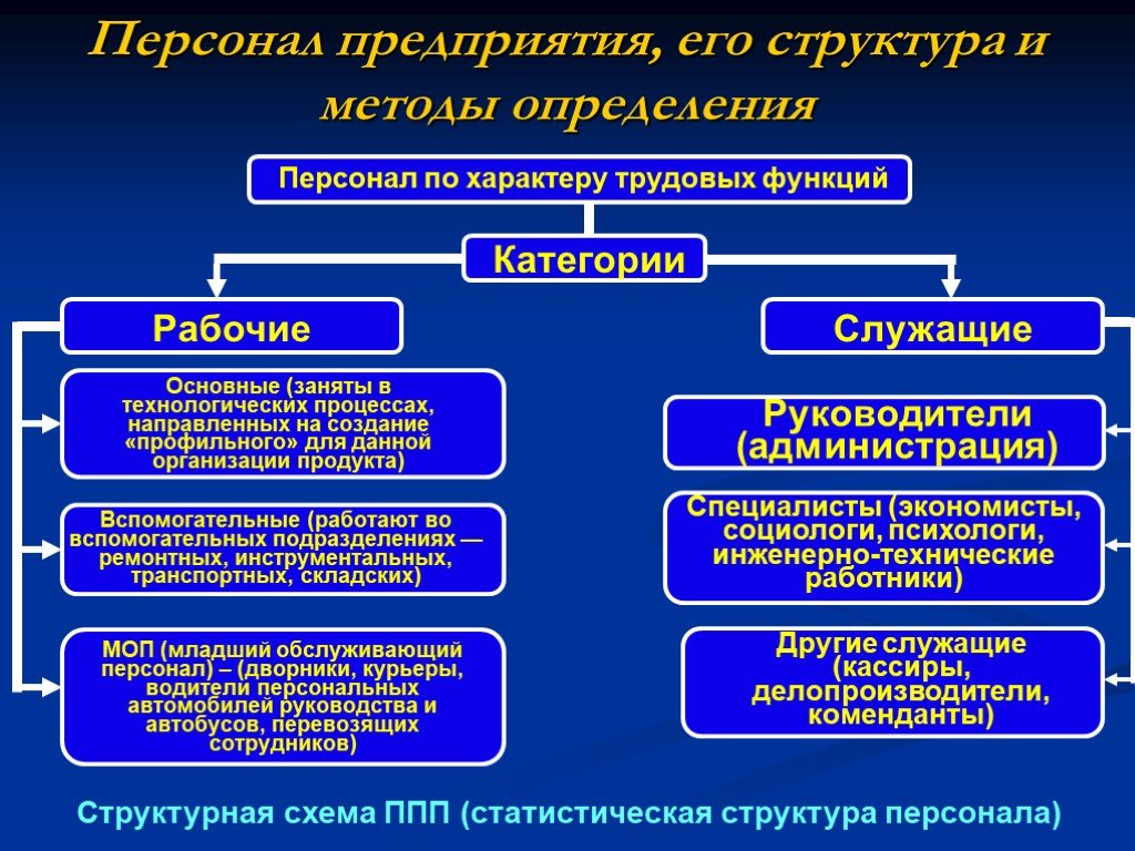 Основной занял. Персонал предприятия и его структура. Персонал предприятия фирмы и его структура. Категории персонала на предприятии. Структура персонала предприятия.