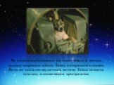 Во втором искусственном спутнике Земли, в мягком сиденье закрепили собаку Лайку и отправили в космос. Но полет оказался неудачным, поэтому Лайка навсегда осталась в космическом пространстве.