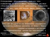 Углеродные образования, только что найденные в мельчайших трещинках внутри старого марсианского метеорита, повысили шанс на то, что на Марсе была (или есть до сих пор) жизнь. Речь идёт об одном из так называемых марсианских метеоритов (выбитых миллионы лет назад с Марса ударами астероидов и по соста