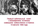 Первый орбитальный полет с возращением на Землю совершили собаки Белка и Стрелка 19 августа 1960 года.