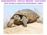 Среднеазиатские степные черепахи тоже внесли свой вклад в развитие космической науки.