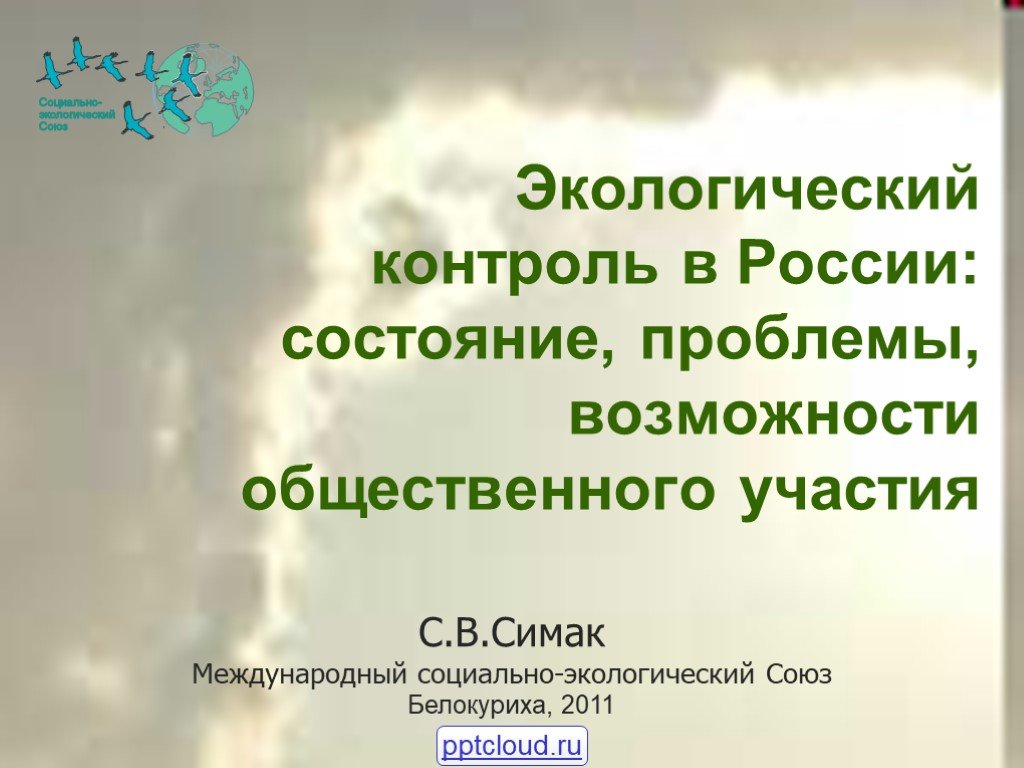 Социально экологический союз. Экологический контроль в России. Международный социально-экологический Союз. Международный социально-экологический Союз (МСОЭС). Производственный экологический контроль.