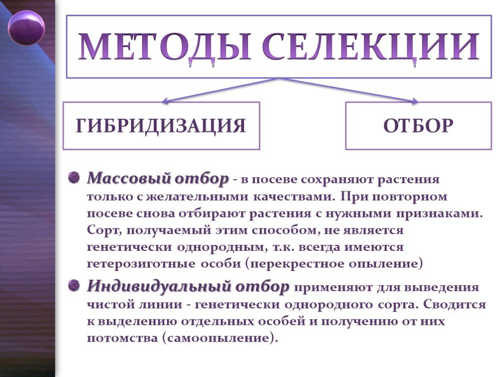 Современные методы селекции проект