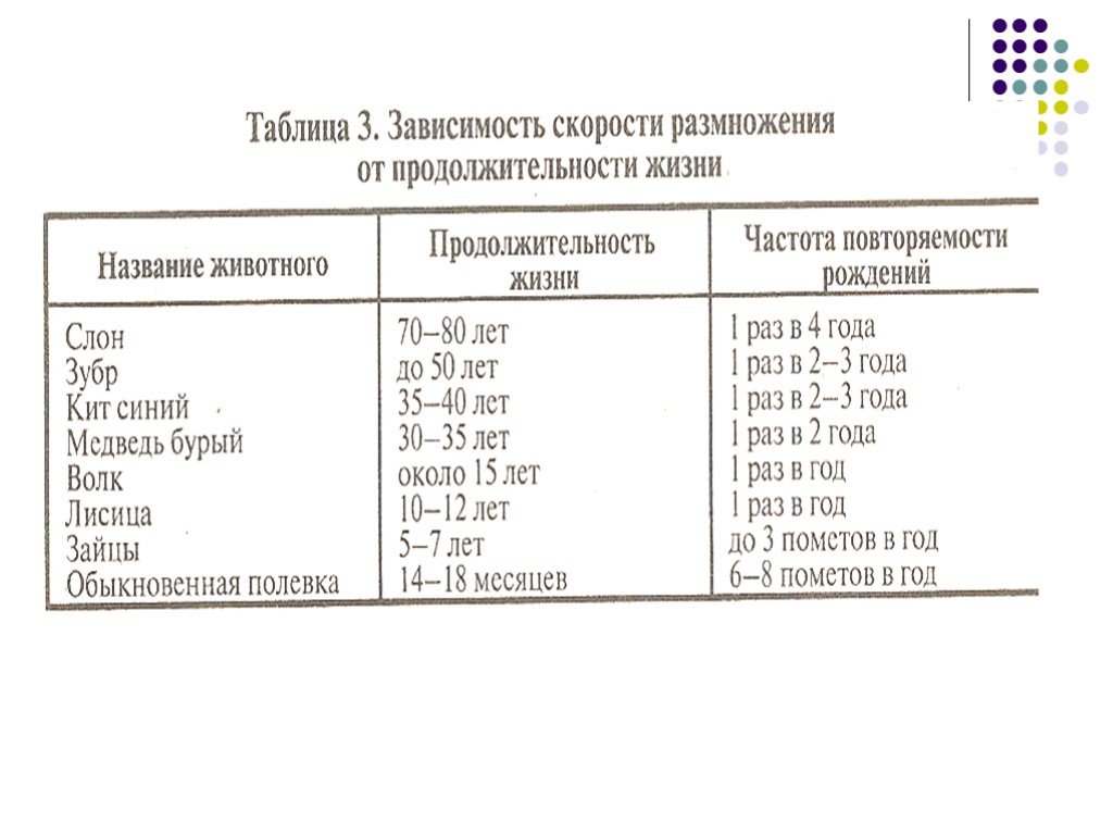 Годы жизни животных. Продолжительность жизни животных таблица 1. Сколько живут животные таблица. Название животных и Продолжительность жизни. Продолжительность жизни животных 1 класс таблица.