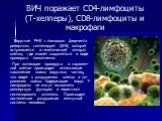ВИЧ поражает CD4-лимфоциты (Т-хелперы), CD8-лимфоциты и макрофаги. Вирусная РНК с помощью фермента ревертазы синтезирует ДНК, которая встраивается в генетический аппарат клетки, где может сохраняться в виде провируса пожизненно. При активации провируса в заражен- ной клетке происходит интенсивное на