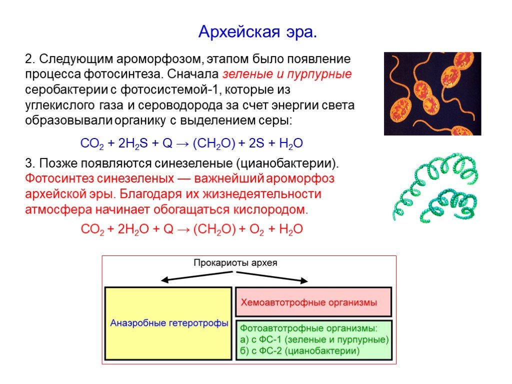 Главное событие архея