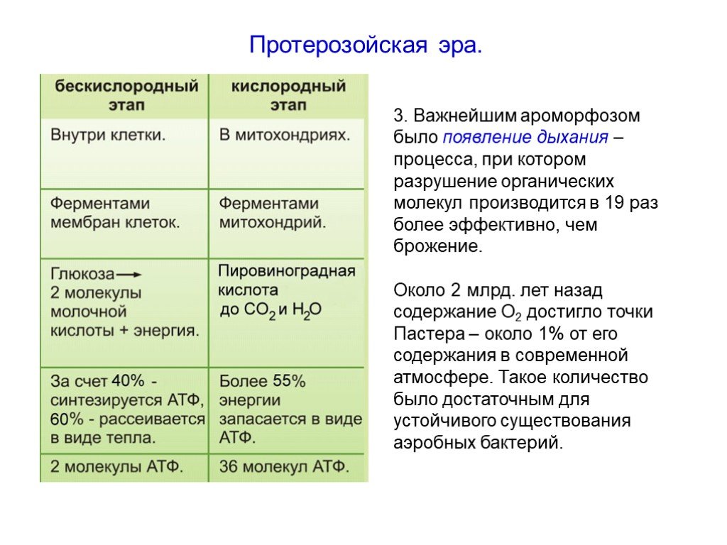 Кислородный этап дыхания. Протерозойская Эра основные ароморфозы. Протерозойская Эра период ароморфозы. Ароморфозы архейской эры появление. Ароморфозы протерозоя таблица.