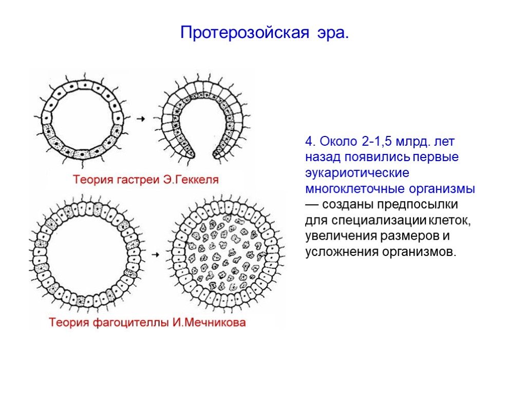 Подробный четко структурированный тщательно обоснованный динамичный перспективный план развития