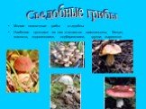 Многие шляпочные грибы съедобны Наиболее ценными из них считаются шампиньоны, белые, маслята, подосиновики, подберезовики, грузди, сыроежки. Съедобные грибы