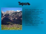 Тироль. Вид на Тирольские Альпы. Для южного Тироля характерен высокогорный альпийский рельеф с ледниками и снежниками высотой до 3774 м (гора Вильдшпитц). В Тирольских Альпах хорошо и летом, и зимой, особенно Тироль привлекает горнолыжников. В главном городе Тироля дважды проводилась Белая Олимпиады