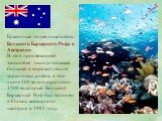 Красочные подводные сцены Большого Барьерного Рифа в Австралии. В этой процветающей экосистеме находится самая большая в мире коллекция коралловых рифов, в том числе 400 видов кораллов и 1500 видов рыб. Большой Барьерный Риф был включен в Список всемирного наследия в 1981 году.