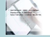 Центральное звено в концепции Вернадского о биосфере – представление о живом веществе.