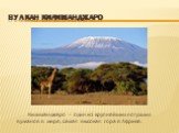 Вулкан килиманджаро. Килиманджаро – один из крупнейших потухших вулканов в мире, самая высокая гора в Африке.