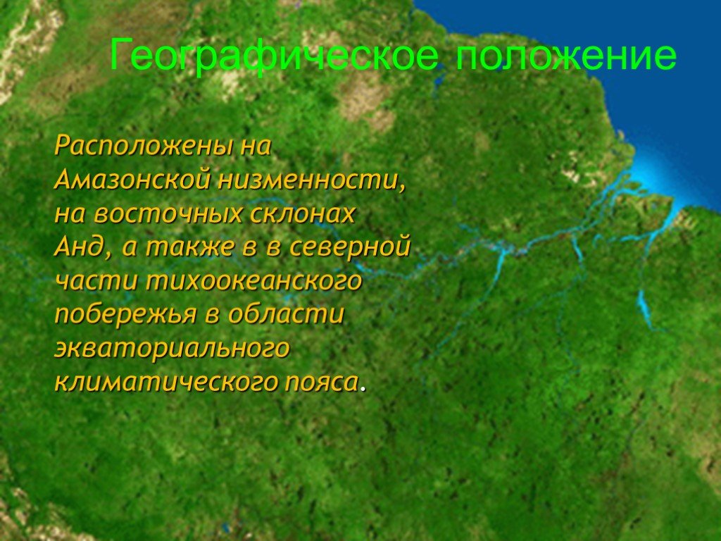 Географическое положение амазонской низменности по плану 5 класс