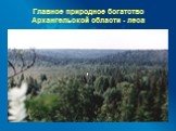 Главное природное богатство Архангельской области - леса