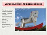 Самая высокая лошадка-качалка. В Австралии высоко в холмах Аделаиды в городе Гумерача находится демонстрационный образец местной фабрики деревянной игрушки. Высота игрушки 18 метров, весит 25 тонн.