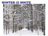 WINTER IS WHITE