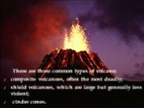 There are three common types of volcano: composite volcanoes, often the most deadly; shield volcanoes, which are large but generally less violent; cinder cones.