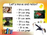 Let’s move and relax! It’s a bird, It can sing. It’s a fish, It can swim. It’s a dog, It can run. It is me, I can jump!