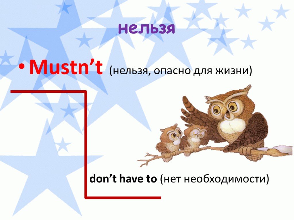 Must проект