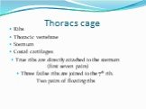 Thoracs cage. Ribs Thoracic vertebrae Sternum Costal cartilages True ribs are directly attached to the sternum (first seven pairs) Three failse ribs are joined to the 7th rib. Two pairs of floating ribs
