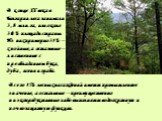 В конце XX века в Болгарии леса занимали 3,8 млн. га, или около 30% площади страны. Из них примерно 31% – хвойные, а остальные – лиственные с преобладанием бука, дуба, ясеня и граба. Всего 15% лесных насаждений имеют промышленное значение, а остальные – преимущественно низкопродуктивные либо выполня