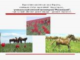 Единственная степная зона Европы, имеющая статус охраняемой территории, уникальный степной заповедник "Ростовский", где на воле обитают дикие лошади - донские мустанги.