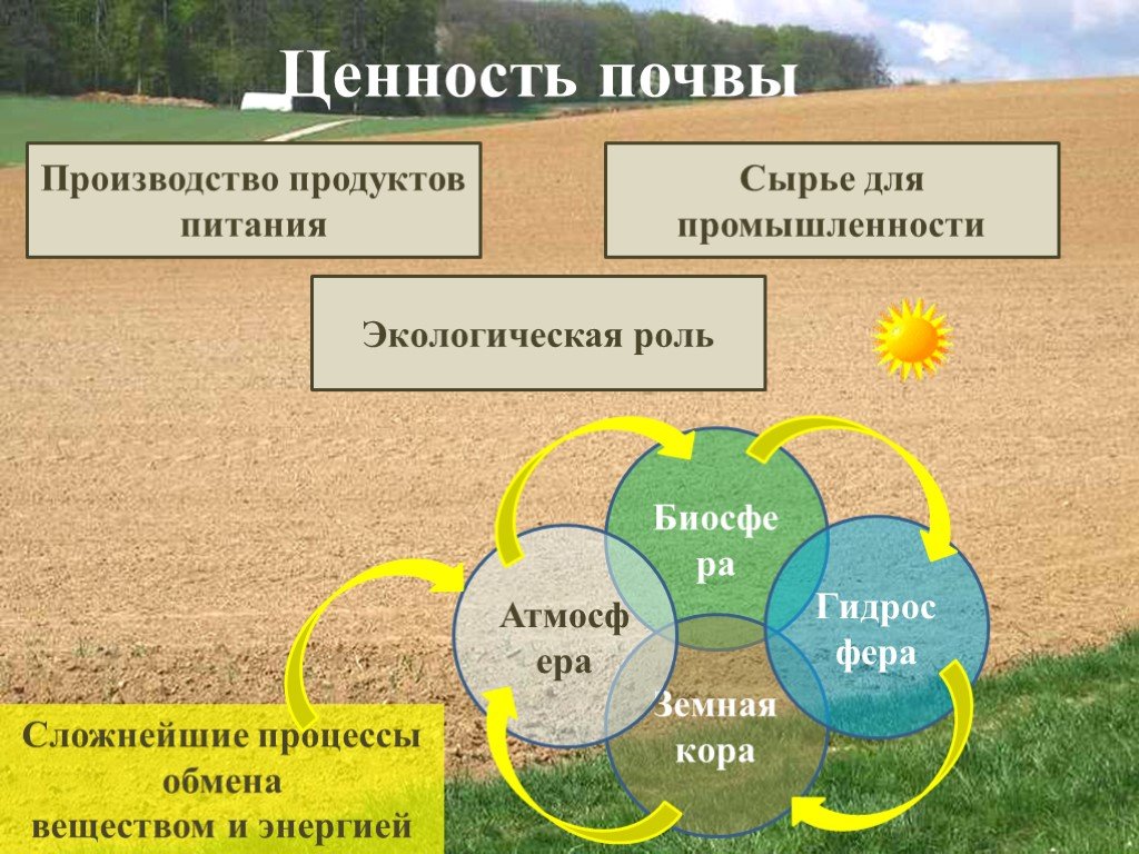 Экологическая роль почв. География 8 класс почвы и почвенные ресурсы. Апочвеные ресурсы Росси. Ценность почвы. Экологическая роль почвы.