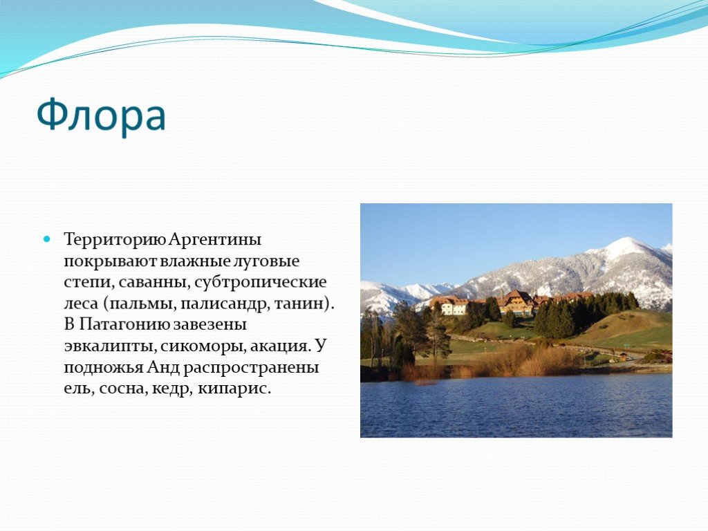 Аргентина 2 класс окружающий мир. Аргентина презентация. Презентация по Аргентине. Проект на тему Аргентина. Сообщение про Аргентину по географии.